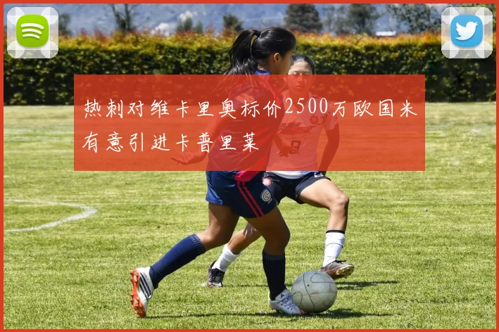 热刺对维卡里奥标价2500万欧国米有意引进卡普里莱